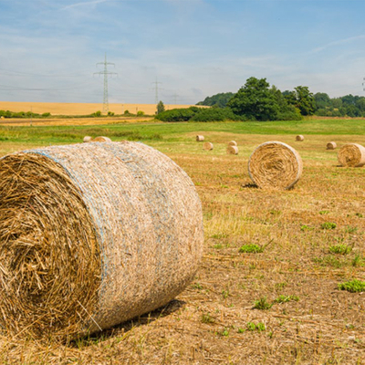 bale-net2