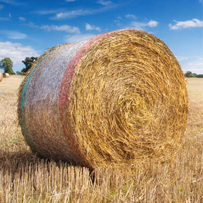 bale-net4