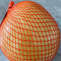 Fruit Net