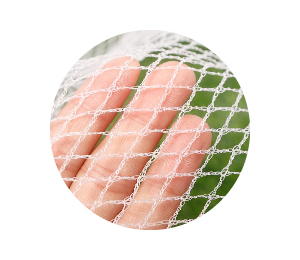 Anti-Hails Net
