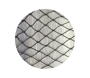 bird-net