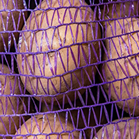 Vegetable Net