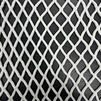 PP-Safety-Net